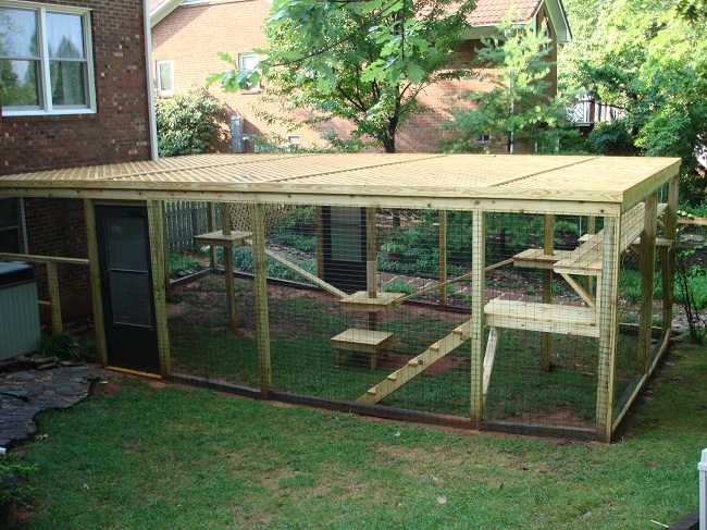 Cat Enclosures cat enclosures Pinterest Cat