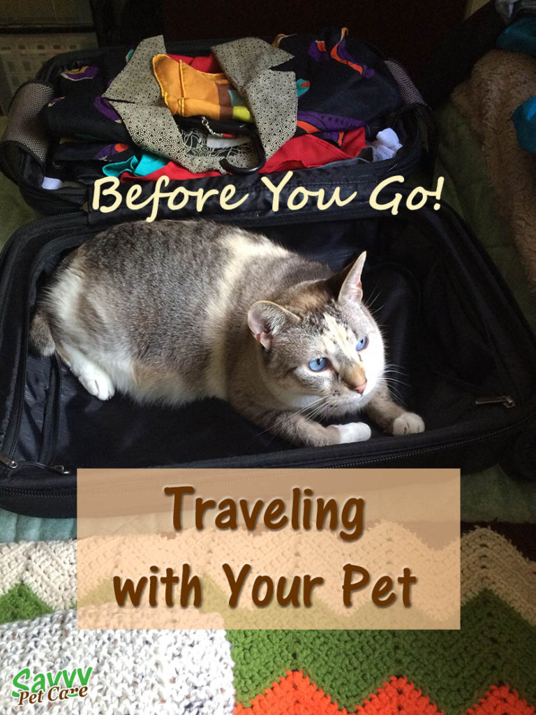 Traveling with your pet? There are some things you should consider before you go that can mean the difference between a fun experience and disaster.