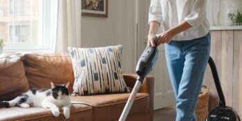 Flea Control--Why are Fleas so Hard to Eradicate?
