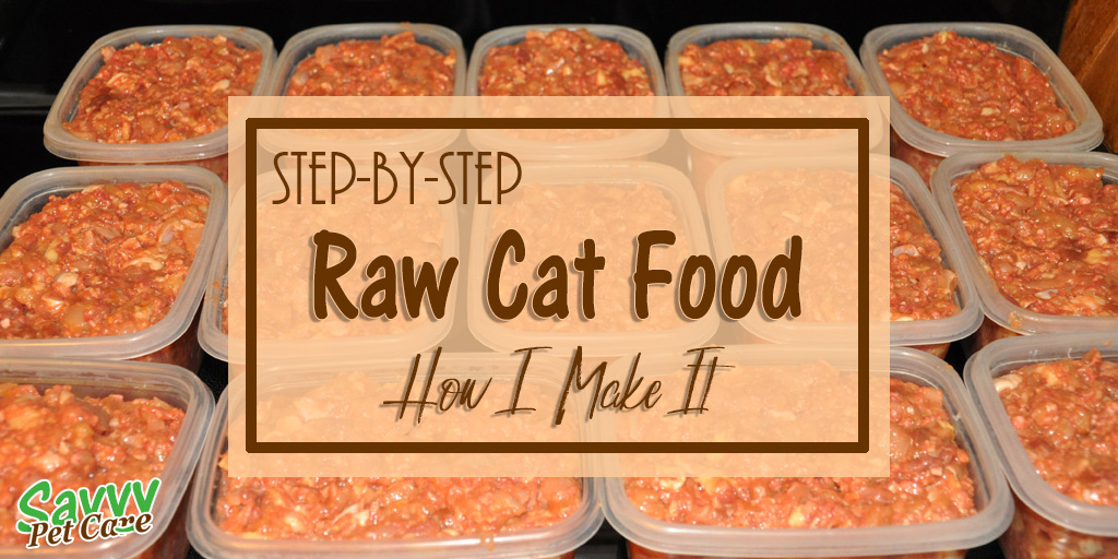 raw meat diet for cats