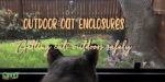 cat looking out window at squirrel with text overlay: Outdoor cat enclosures Getting cats outdoors safely