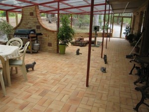 outdoor cat enclosure