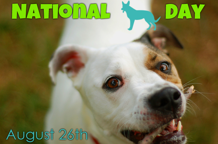 National Dog Day 2013