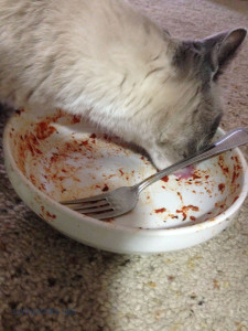 If you set a dish down, be sure it is empty. Any people food is preferred over cat food.