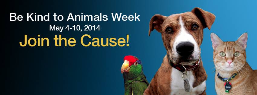 Be Kind to Animals Week