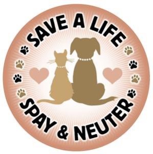 spay and neuter