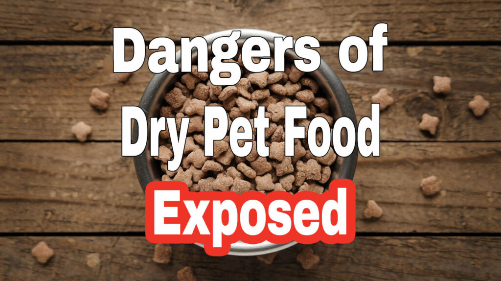 A photo of a bowl of dry kibble with text that says "Dangers of Dry Pet Food Exposed