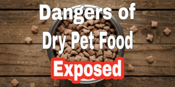 A photo of a bowl of dry kibble with text that says "Dangers of Dry Pet Food Exposed