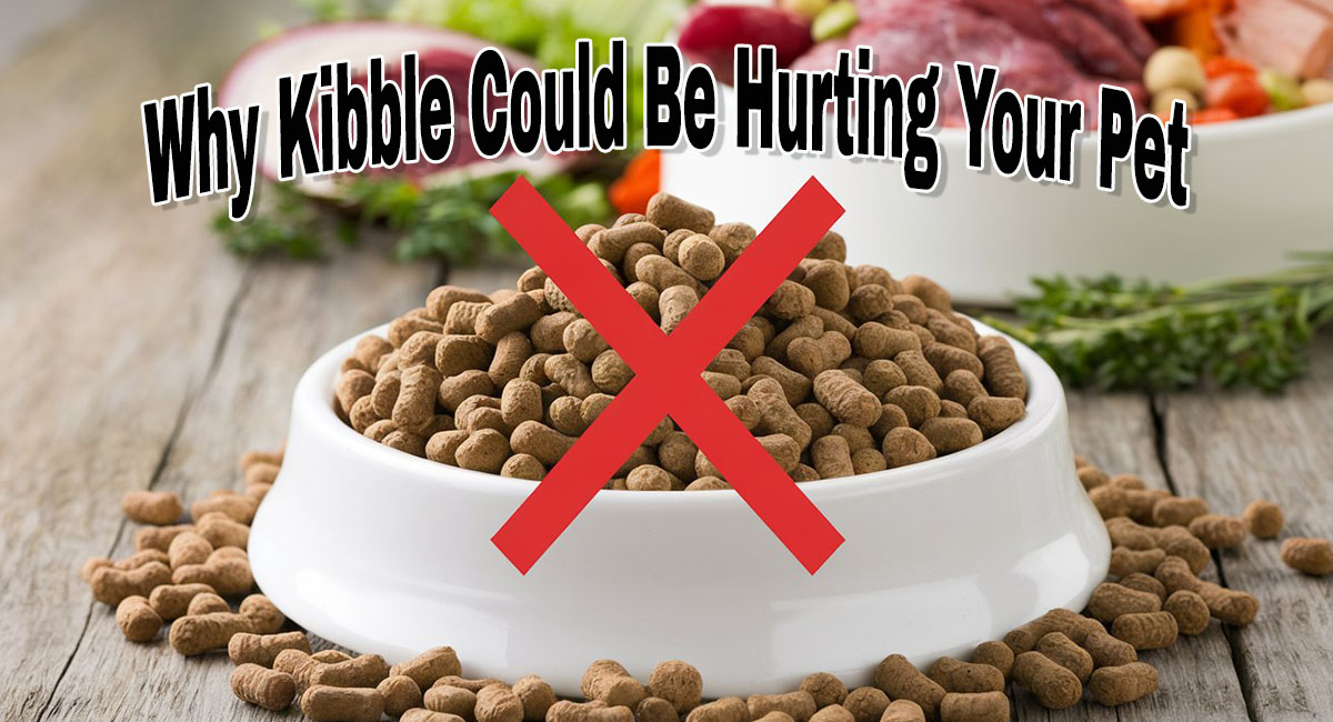 A dish of dry pet food with a bold red X over it and a bowl of healthy food in the background.