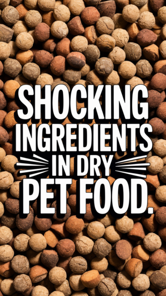 dry pet food with text that says Shocking Ingredients in Dry Pet Food