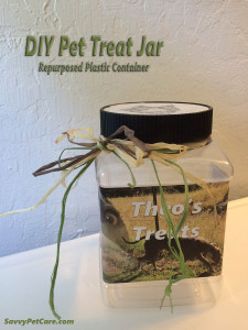 DIY Pet Treat Jar finished