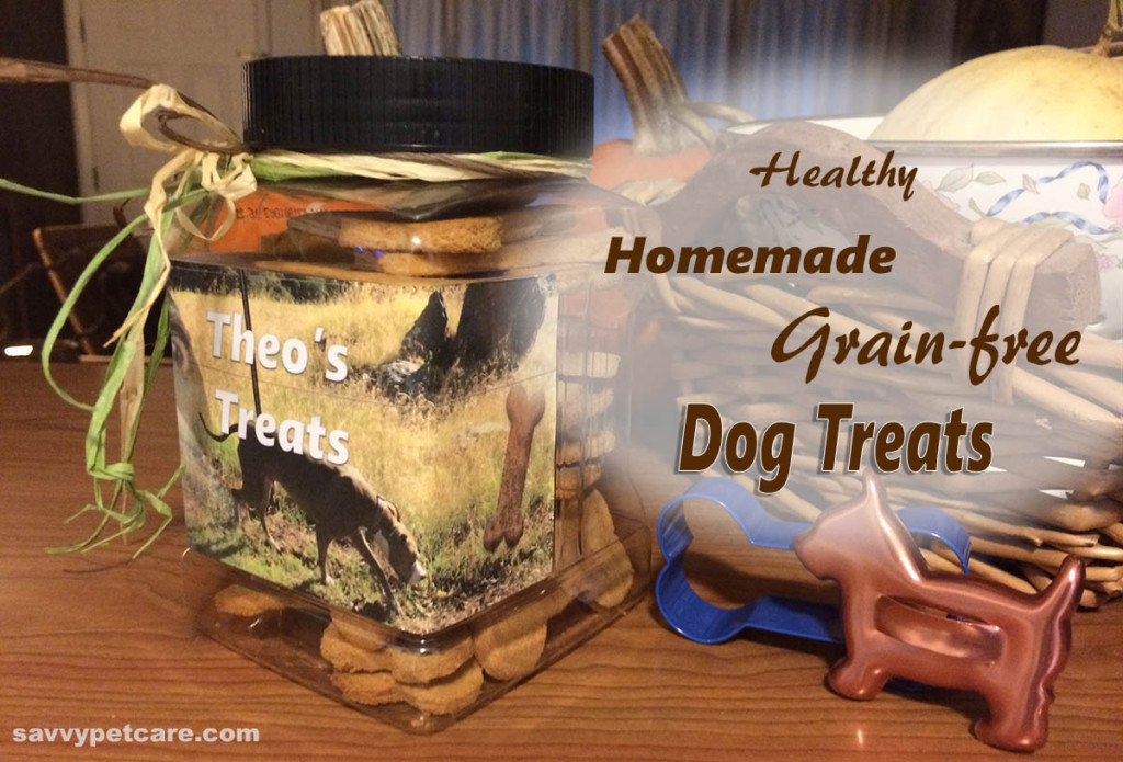 Healathy, homemade, grain-free dog treats in DIY treat jar