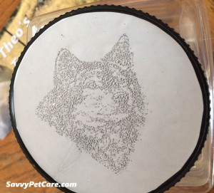 DIY Pet Treat Jar lid