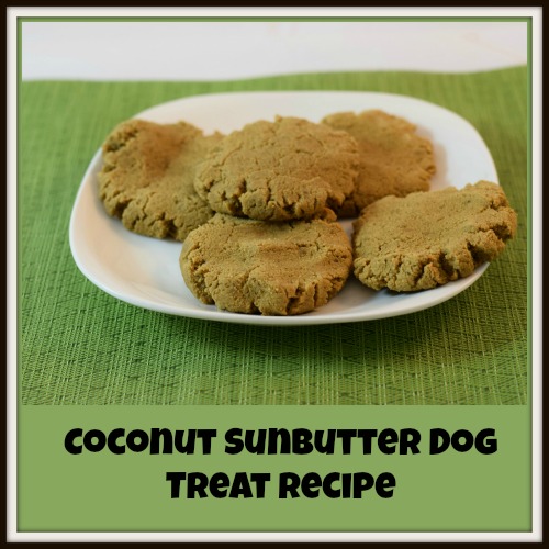 Coconut-Sunbutter-Dog-Treat-Recipe