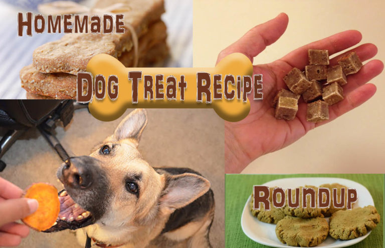 View of Homemade Grain-free Dog Treats - Savvy Pet Care