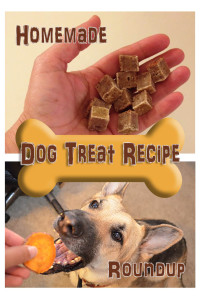 Dog Treat Recipe Roundup photo