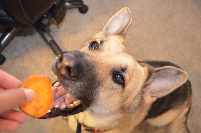 Dog and sweet potato