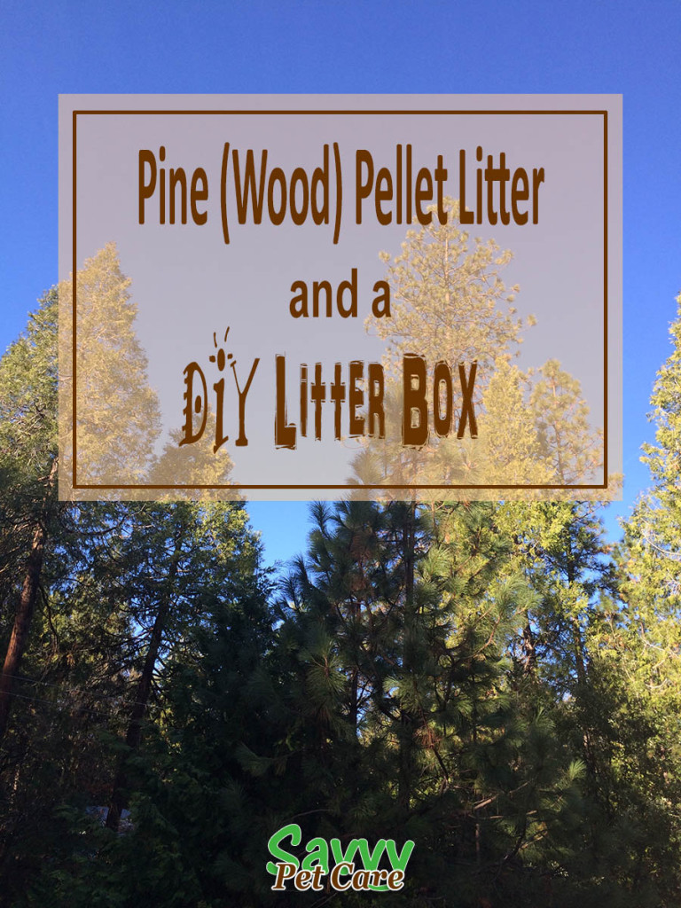 Biodegradable litter is a healthier choice for your cat. Pine pellet litter requires some special considerations. This DIY litter box can help.