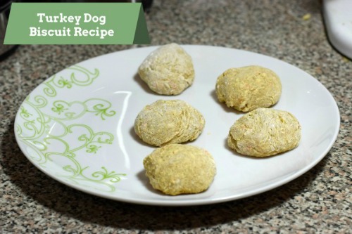 Turkey-Dog-Biscuit-1