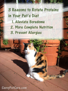  The 3 Reasons to rotate proteins in your pet's diet