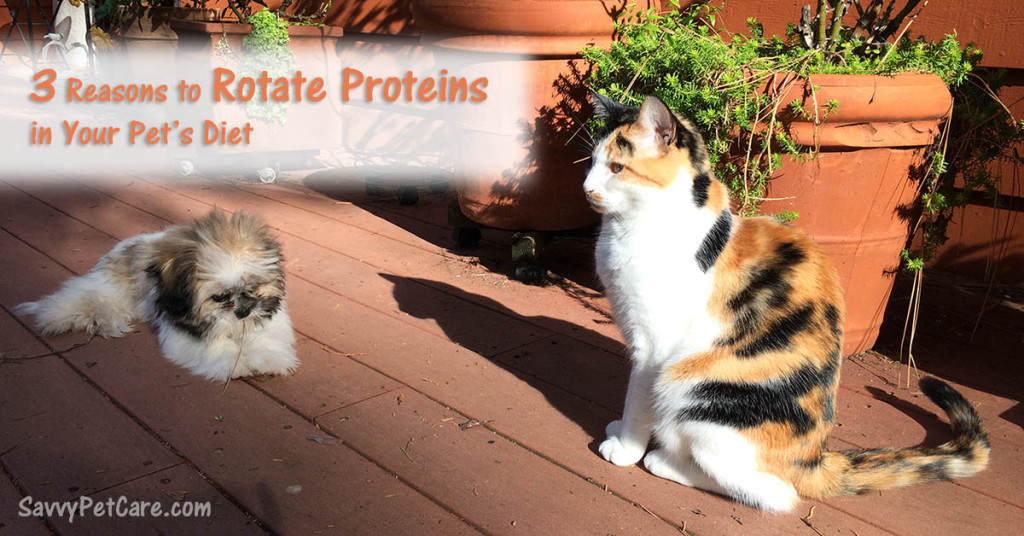 3 reasons to Rotate Proteins