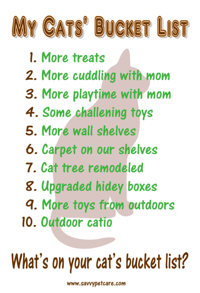 My Cats' Bucket List with lots of things for environmental enrichment