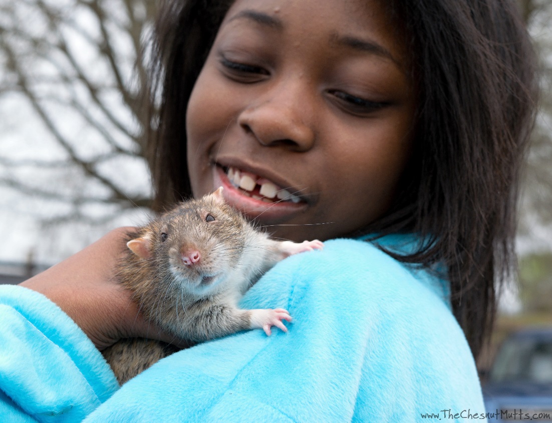 Pet rat Delmar being held by a young female attendee at the pet parade