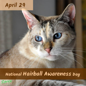 National Hairball Awareness Day