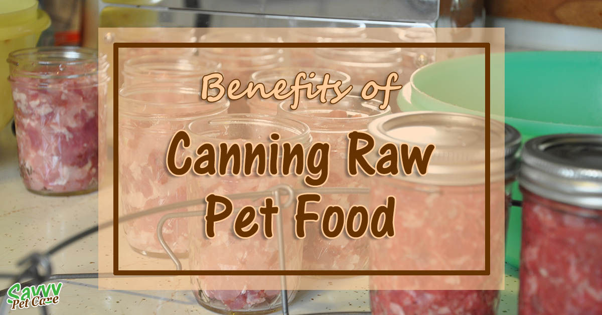 There are a few good reasons why canning raw pet food is something you might want to consider. Read about the benefits of canning raw food.