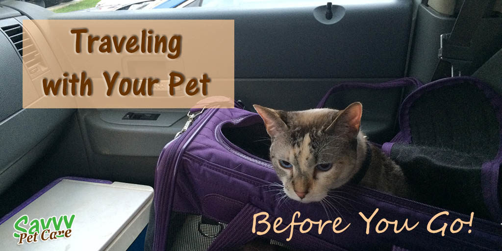 Traveling with your pet? There are some things you should consider before you go that can mean the difference between a fun experience and disaster.