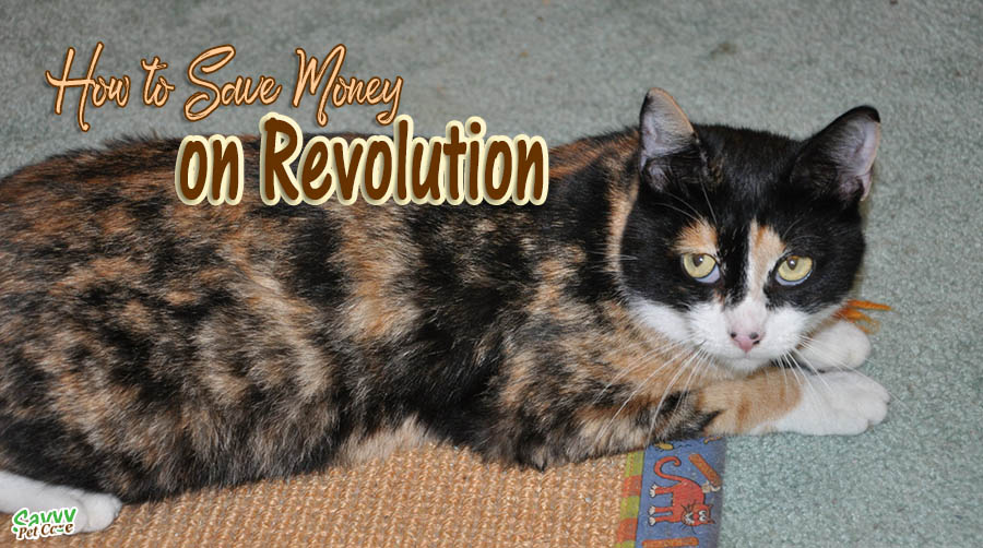 splitting revolution for cats