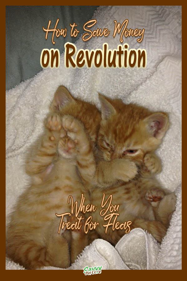 splitting revolution for cats