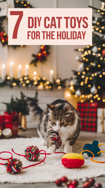 a cat playing with DIY type toys with text overlay that says "7 DIY Cat Toys for the Holiday"