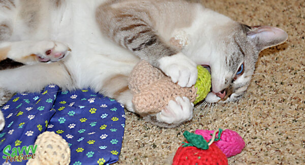 cat playing with a catnip toy