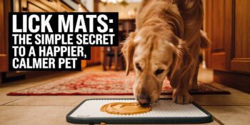 A golden retriever licking food from a lick mat. Text overlay says "Lick Mats: The Simple Secret for Happier, Calmer Pets"