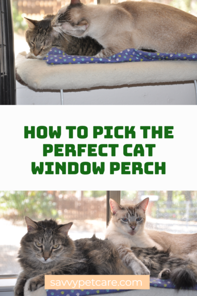 Give your cat the ultimate sunbathing and bird-watching spot! Learn all about cat window perches, from choosing the best type to setup tips.