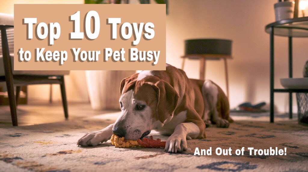 a large dog laying on the floor with a chew toy. Text overlay says "Top 10 Toys to Keep Your Pet Busy and Out of Trouble!"