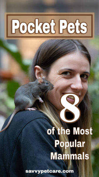 A photo of a smiling woman with a pet rat on her shoulder. Text overlay says Pocket Pets 8 of the Most Popular Mammals.