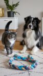 10 DIY Pet Care Hacks to Save Money Without Sacrificing Quality - Savvy