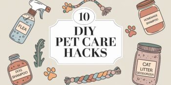 An illustration of some of the DIY Pet Care Hacks in this post,