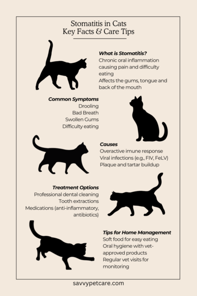 An infographic summarizing the symptoms, causes and care of stomatitis in cats.