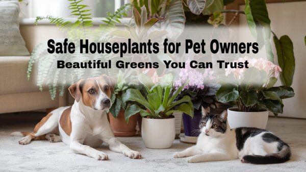 A dog and a cat laying in front of some pet-safe houseplants =. Text overlay says Safe Houseplants for Pet Owners: Beautiful Greens you can Trust